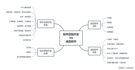 網絡與信息安全軟件 定制開發與成品軟件的抉擇之道