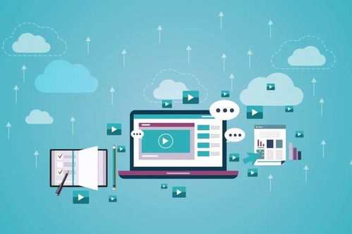 個人信息保護日 安全上網，七招教你避防風險與網絡信息安全軟件開發